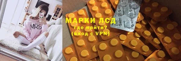 spice Богородск