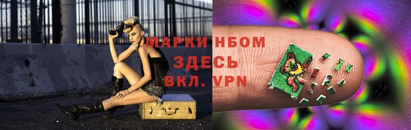 spice Богородск