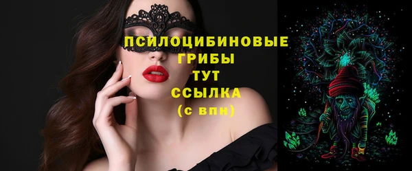 spice Богородск
