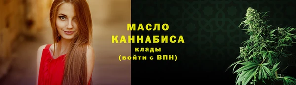 mdpv Богородицк