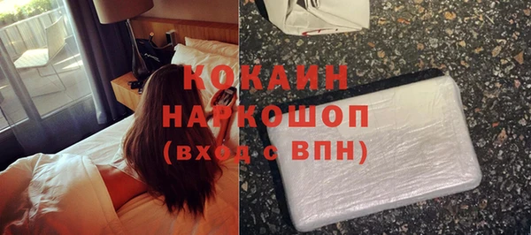 spice Богородск