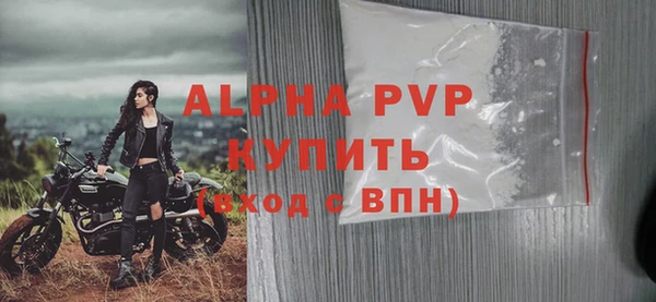 spice Богородск
