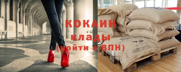 mdpv Богородицк