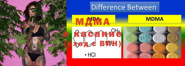 spice Богородск