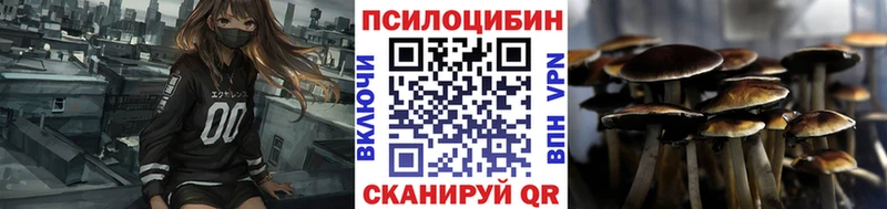цены   kraken ССЫЛКА  Псилоцибиновые грибы прущие грибы  Котлас 